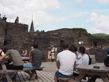 Birds of prey show at Chateau de La Roche-en-Ardenne (Belgium)